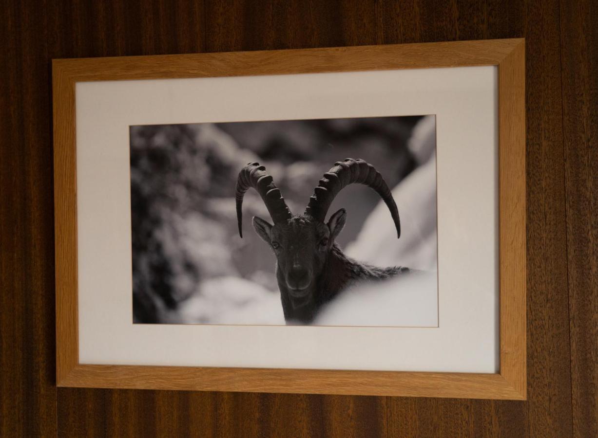 Hotel Les Chamois เวอร์บิเอร์ ภายนอก รูปภาพ